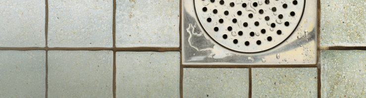 SCI_Header_WetRoomWITHout